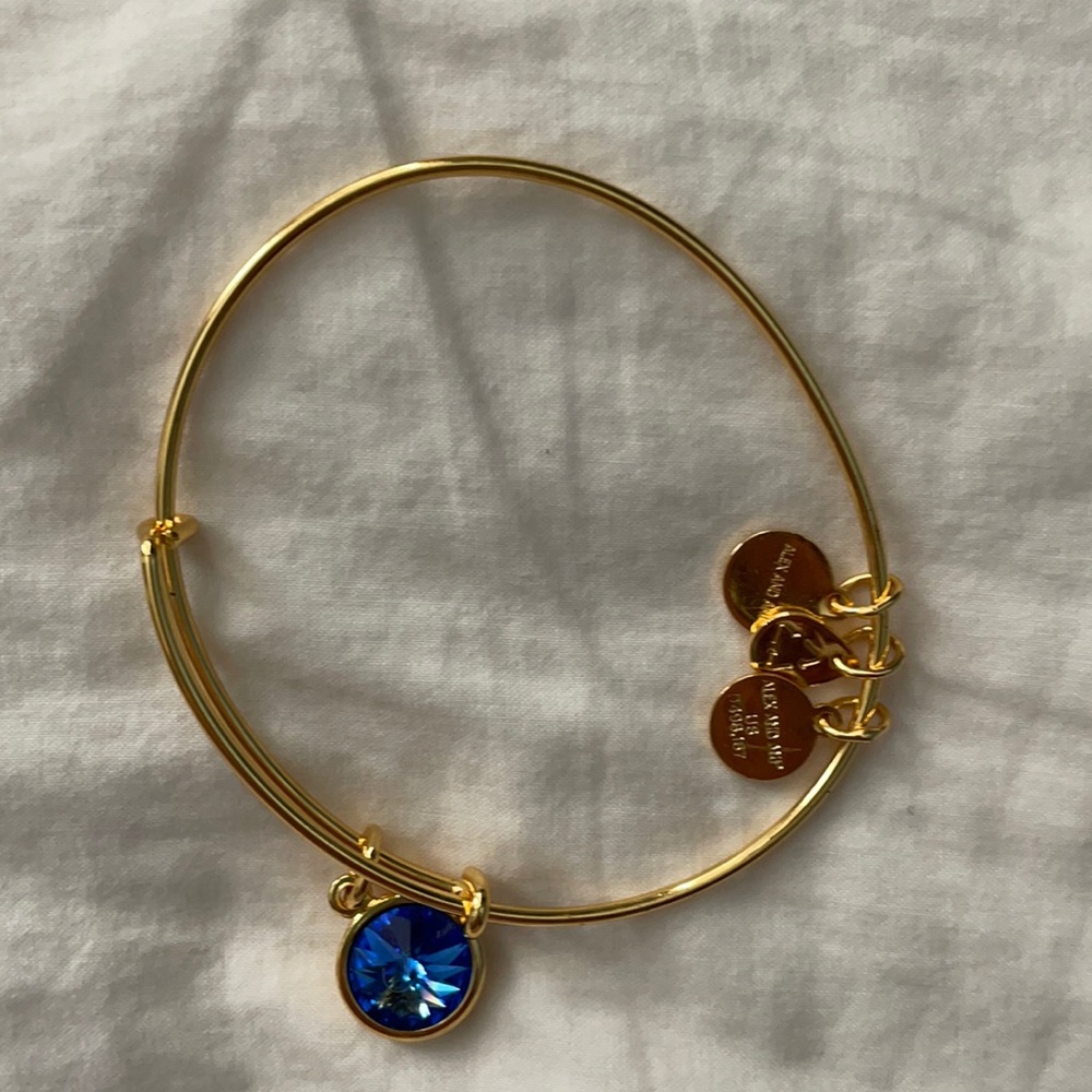 Alex and Ani charm bracelet adjustable
